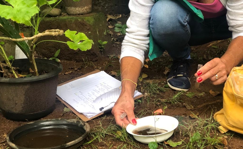 Dengue avança no MA: 4 mortes confirmadas e 5 óbitos sob investigação em 2026